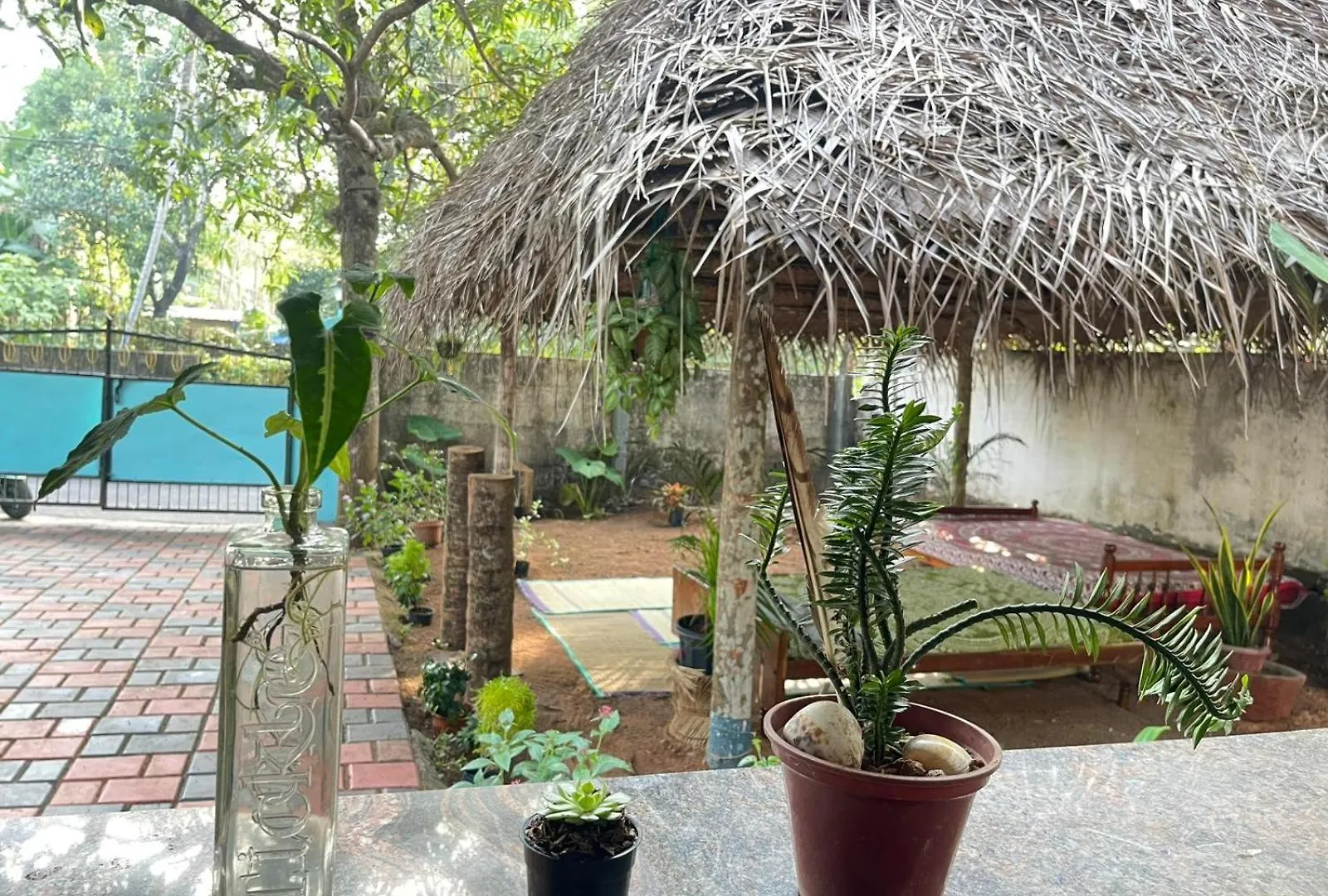 Guest house Loco Surf House Hotel Varkala