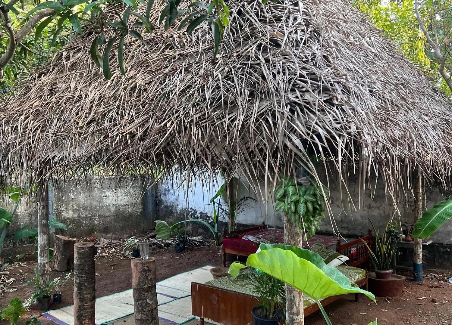 Loco Surf House Hotel Varkala India